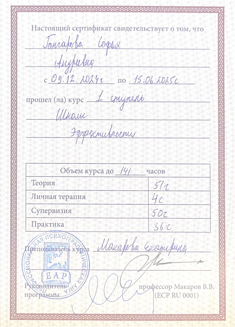 ОППЛ · Школа эффективности, 1 ступень